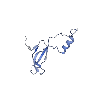 4131_5lzt_o_v1-3
Structure of the mammalian ribosomal termination complex with eRF1 and eRF3.