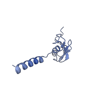 4131_5lzt_p_v1-3
Structure of the mammalian ribosomal termination complex with eRF1 and eRF3.