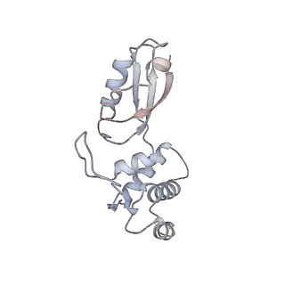 4131_5lzt_t_v1-3
Structure of the mammalian ribosomal termination complex with eRF1 and eRF3.