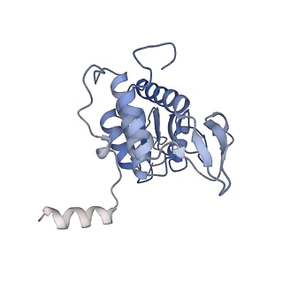 4132_5lzu_AA_v1-4
Structure of the mammalian ribosomal termination complex with accommodated eRF1