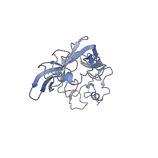 4132_5lzu_A_v1-4
Structure of the mammalian ribosomal termination complex with accommodated eRF1