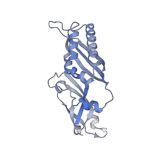 4132_5lzu_BB_v1-4
Structure of the mammalian ribosomal termination complex with accommodated eRF1