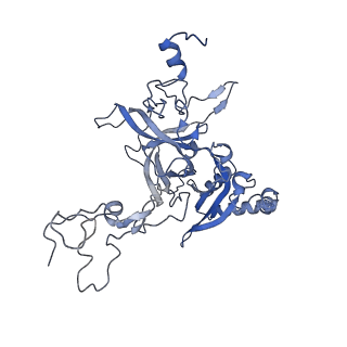 4132_5lzu_B_v1-4
Structure of the mammalian ribosomal termination complex with accommodated eRF1