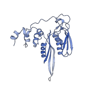 4132_5lzu_CC_v1-4
Structure of the mammalian ribosomal termination complex with accommodated eRF1