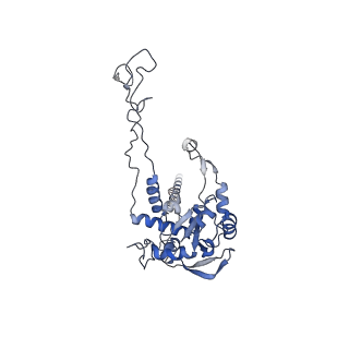 4132_5lzu_C_v1-4
Structure of the mammalian ribosomal termination complex with accommodated eRF1