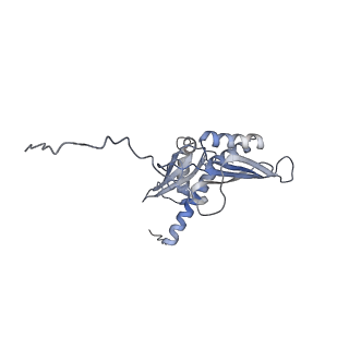 4132_5lzu_DD_v1-4
Structure of the mammalian ribosomal termination complex with accommodated eRF1