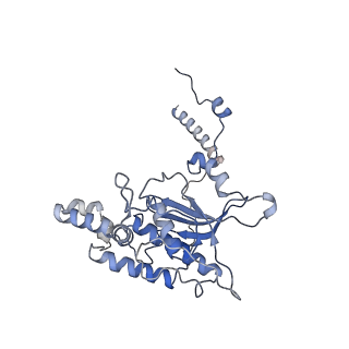 4132_5lzu_D_v1-4
Structure of the mammalian ribosomal termination complex with accommodated eRF1