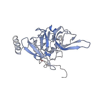 4132_5lzu_EE_v1-4
Structure of the mammalian ribosomal termination complex with accommodated eRF1
