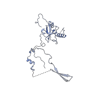 4132_5lzu_E_v1-4
Structure of the mammalian ribosomal termination complex with accommodated eRF1