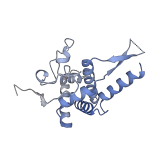 4132_5lzu_FF_v1-4
Structure of the mammalian ribosomal termination complex with accommodated eRF1