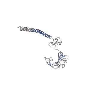 4132_5lzu_GG_v1-4
Structure of the mammalian ribosomal termination complex with accommodated eRF1