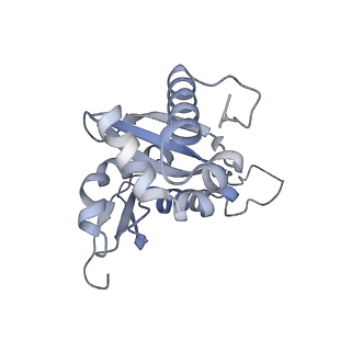 4132_5lzu_HH_v1-4
Structure of the mammalian ribosomal termination complex with accommodated eRF1