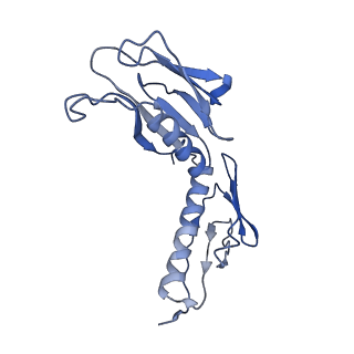 4132_5lzu_H_v1-4
Structure of the mammalian ribosomal termination complex with accommodated eRF1