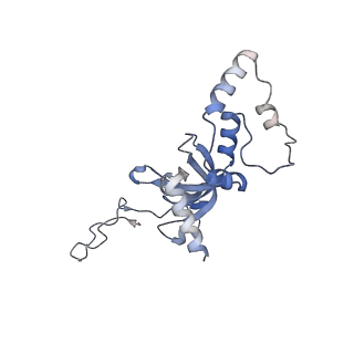 4132_5lzu_II_v1-4
Structure of the mammalian ribosomal termination complex with accommodated eRF1