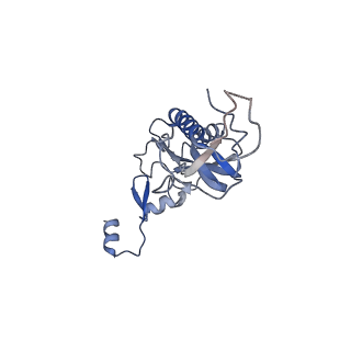 4132_5lzu_I_v1-4
Structure of the mammalian ribosomal termination complex with accommodated eRF1