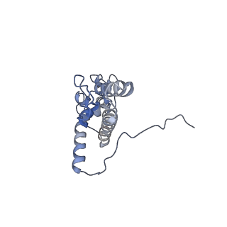 4132_5lzu_JJ_v1-4
Structure of the mammalian ribosomal termination complex with accommodated eRF1