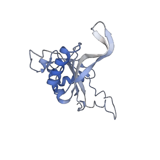4132_5lzu_J_v1-4
Structure of the mammalian ribosomal termination complex with accommodated eRF1