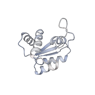 4132_5lzu_MM_v1-4
Structure of the mammalian ribosomal termination complex with accommodated eRF1