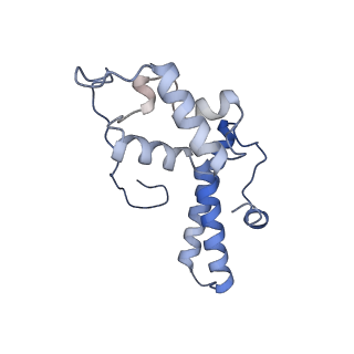 4132_5lzu_NN_v1-4
Structure of the mammalian ribosomal termination complex with accommodated eRF1