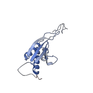 4132_5lzu_OO_v1-4
Structure of the mammalian ribosomal termination complex with accommodated eRF1
