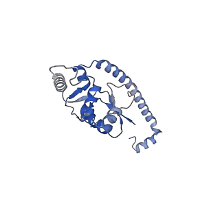 4132_5lzu_O_v1-4
Structure of the mammalian ribosomal termination complex with accommodated eRF1