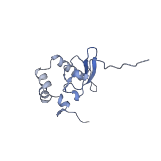 4132_5lzu_PP_v1-4
Structure of the mammalian ribosomal termination complex with accommodated eRF1
