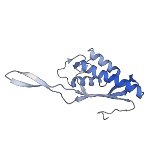 4132_5lzu_P_v1-4
Structure of the mammalian ribosomal termination complex with accommodated eRF1