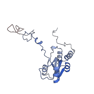 4132_5lzu_Q_v1-4
Structure of the mammalian ribosomal termination complex with accommodated eRF1