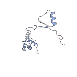 4132_5lzu_RR_v1-4
Structure of the mammalian ribosomal termination complex with accommodated eRF1