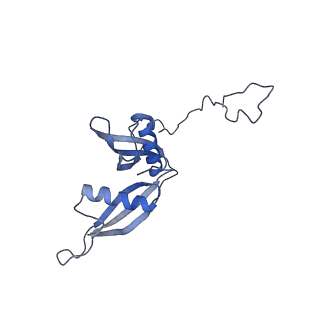 4132_5lzu_S_v1-4
Structure of the mammalian ribosomal termination complex with accommodated eRF1