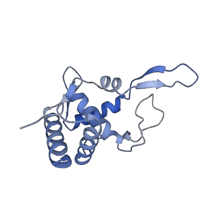 4132_5lzu_TT_v1-4
Structure of the mammalian ribosomal termination complex with accommodated eRF1