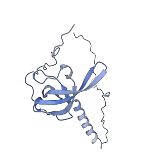 4132_5lzu_T_v1-4
Structure of the mammalian ribosomal termination complex with accommodated eRF1
