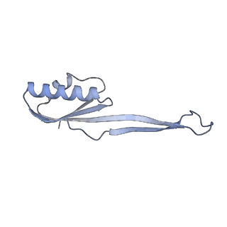 4132_5lzu_UU_v1-4
Structure of the mammalian ribosomal termination complex with accommodated eRF1