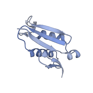 4132_5lzu_U_v1-4
Structure of the mammalian ribosomal termination complex with accommodated eRF1