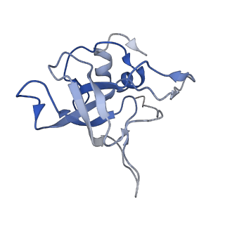 4132_5lzu_V_v1-4
Structure of the mammalian ribosomal termination complex with accommodated eRF1