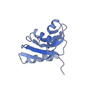 4132_5lzu_WW_v1-4
Structure of the mammalian ribosomal termination complex with accommodated eRF1