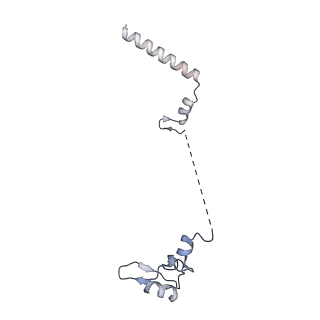 4132_5lzu_W_v1-4
Structure of the mammalian ribosomal termination complex with accommodated eRF1