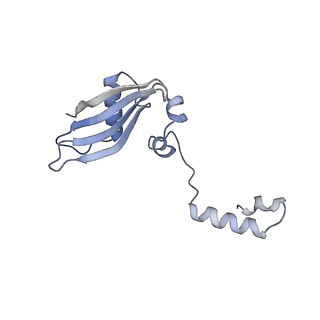 4132_5lzu_YY_v1-4
Structure of the mammalian ribosomal termination complex with accommodated eRF1