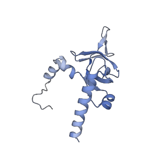 4132_5lzu_Y_v1-4
Structure of the mammalian ribosomal termination complex with accommodated eRF1