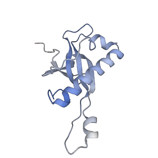 4132_5lzu_Z_v1-4
Structure of the mammalian ribosomal termination complex with accommodated eRF1