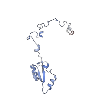 4132_5lzu_a_v1-4
Structure of the mammalian ribosomal termination complex with accommodated eRF1