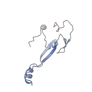 4132_5lzu_aa_v1-4
Structure of the mammalian ribosomal termination complex with accommodated eRF1