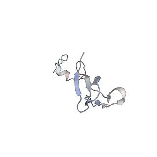 4132_5lzu_bb_v1-4
Structure of the mammalian ribosomal termination complex with accommodated eRF1
