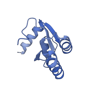 4132_5lzu_c_v1-4
Structure of the mammalian ribosomal termination complex with accommodated eRF1