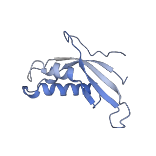 4132_5lzu_d_v1-4
Structure of the mammalian ribosomal termination complex with accommodated eRF1