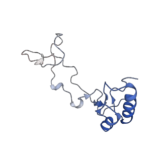 4132_5lzu_e_v1-4
Structure of the mammalian ribosomal termination complex with accommodated eRF1