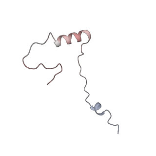 4132_5lzu_ee_v1-4
Structure of the mammalian ribosomal termination complex with accommodated eRF1