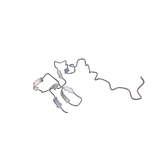 4132_5lzu_ff_v1-4
Structure of the mammalian ribosomal termination complex with accommodated eRF1