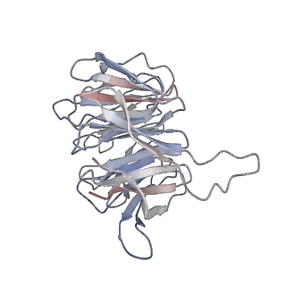 4132_5lzu_gg_v1-4
Structure of the mammalian ribosomal termination complex with accommodated eRF1