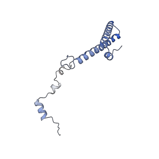 4132_5lzu_h_v1-4
Structure of the mammalian ribosomal termination complex with accommodated eRF1